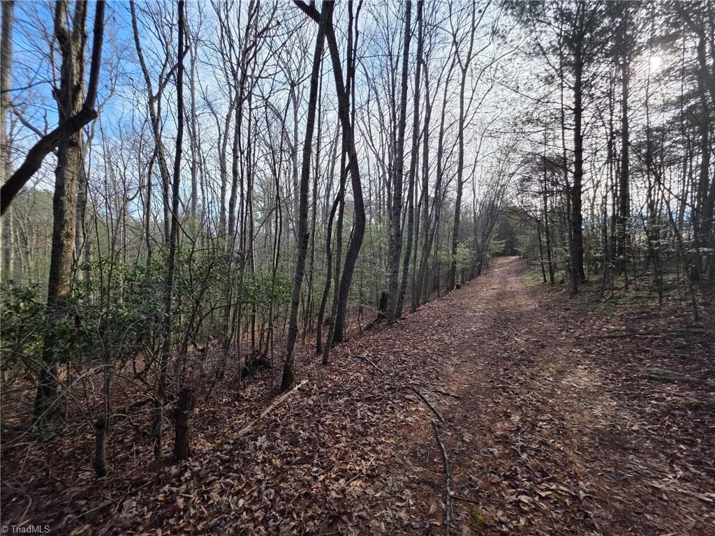 Unimproved Land at TBD Beacon Lane, Mount Airy NC 27030, photo 15 of 20