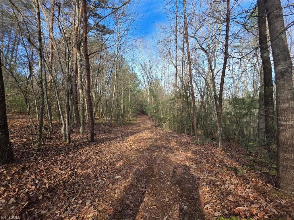 Unimproved Land at TBD Beacon Lane, Mount Airy NC 27030, photo 19 of 20