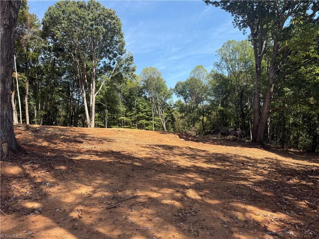 Single Family Residence at 00 N Old 52 Road, Pinnacle NC 27043, photo 6 of 14
