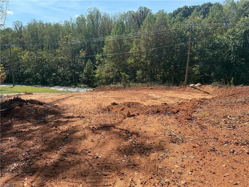 Single Family Residence at 00 N Old 52 Road, Pinnacle NC 27043, photo 13 of 14