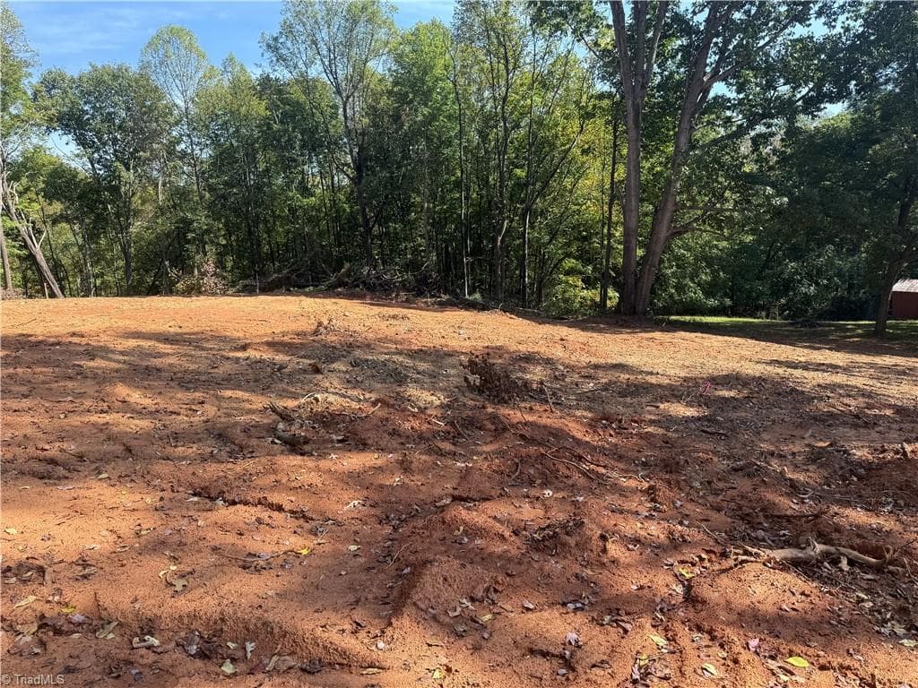 Single Family Residence at 00 N Old 52 Road, Pinnacle NC 27043, photo 12 of 14