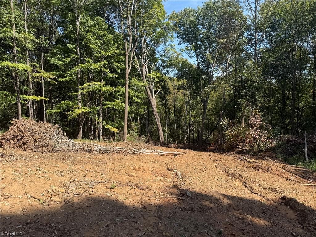 Single Family Residence at 00 N Old 52 Road, Pinnacle NC 27043, photo 10 of 14