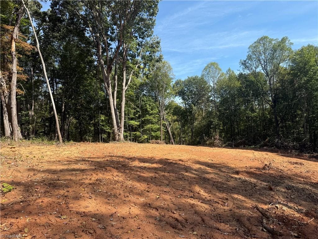 Single Family Residence at 00 N Old 52 Road, Pinnacle NC 27043, photo 14 of 14