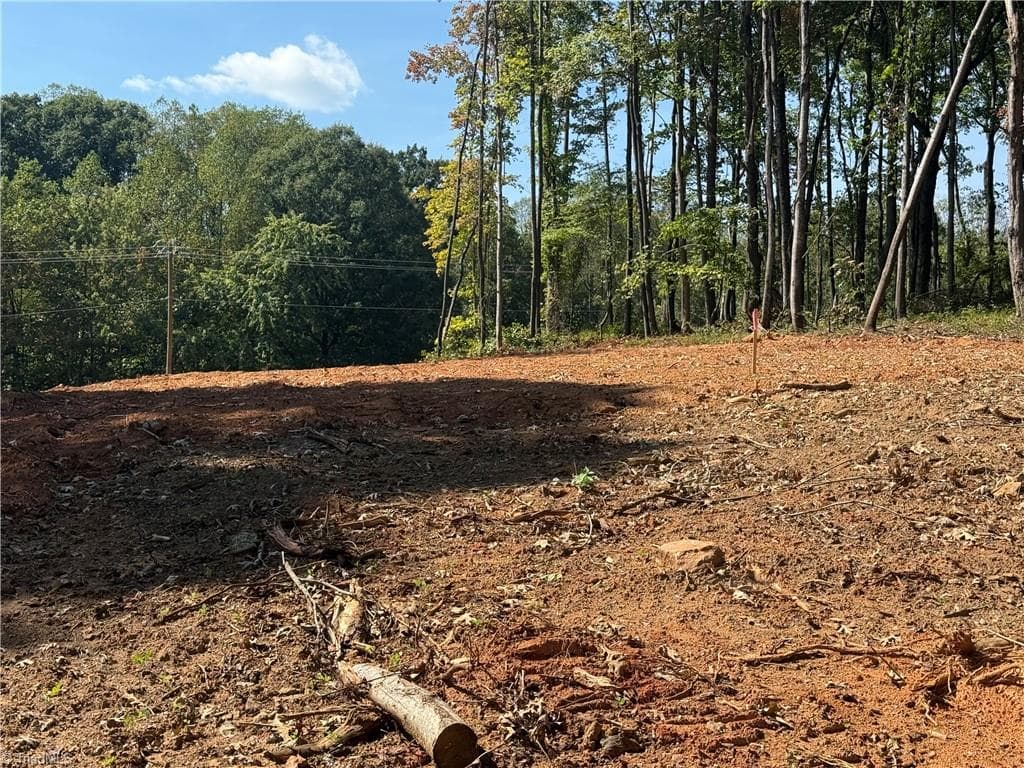 Single Family Residence at 00 N Old 52 Road, Pinnacle NC 27043, photo 11 of 14