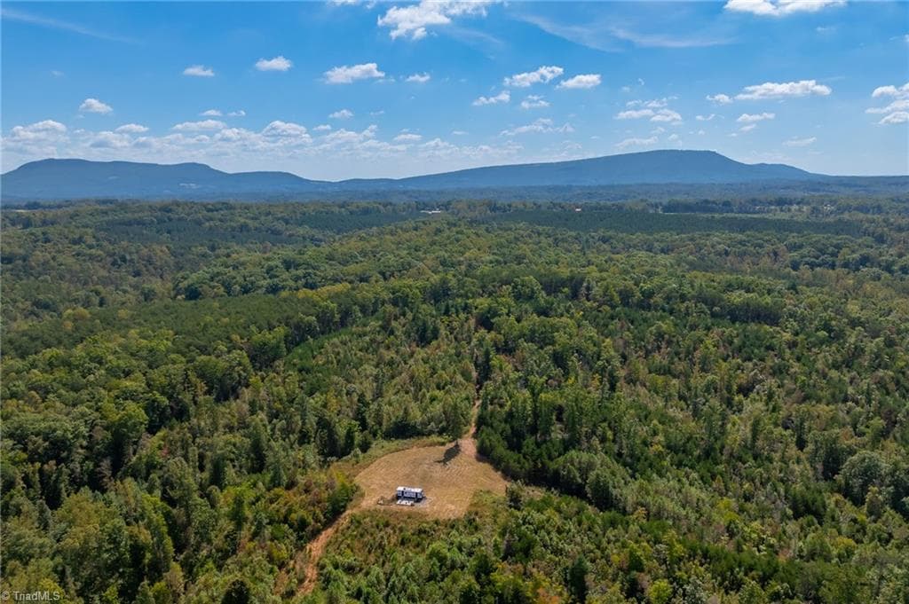 Unimproved Land at 0 Wright Road, Westfield NC 27053, Westfield, photo 3 of 48