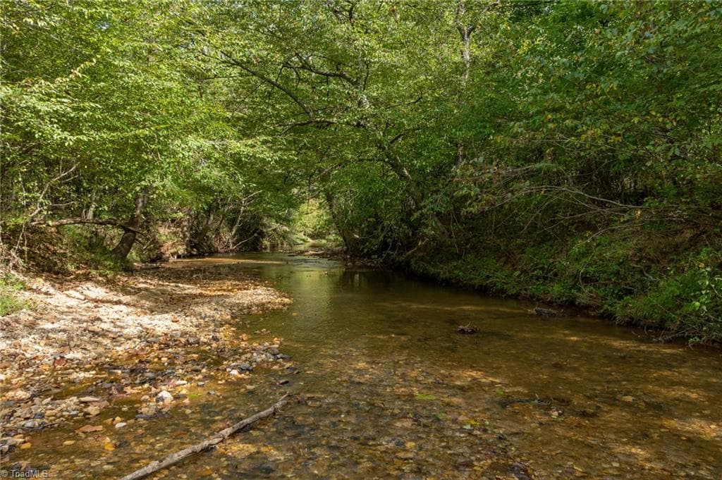 Approximately 4,000 feet of creek frontage to Pinch Gut Creek. - 0 Wright Road, Westfield NC 27053, Westfield