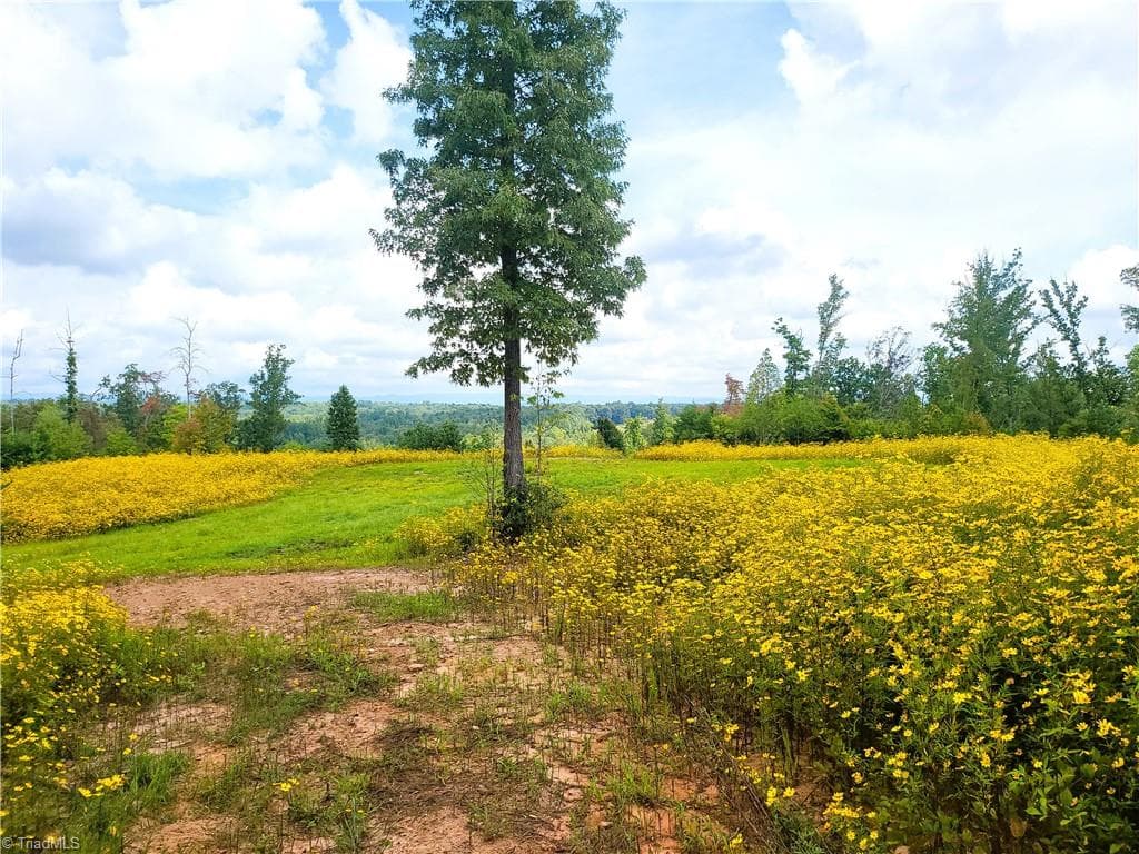 Unimproved Land at 0 Wright Road, Westfield NC 27053, Westfield, photo 31 of 48