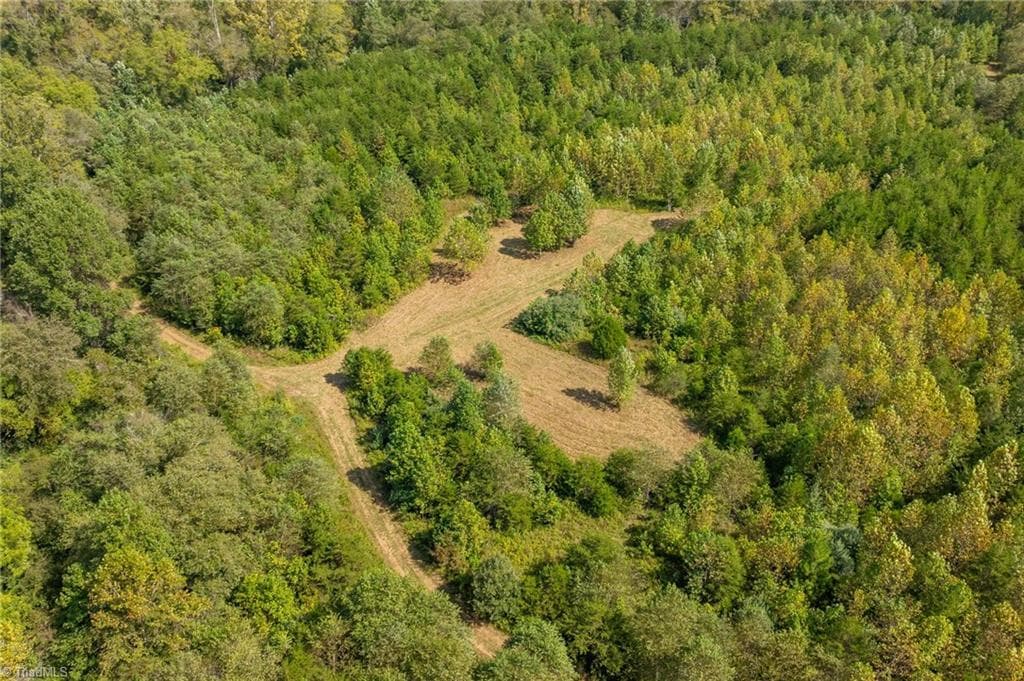 Unimproved Land at 0 Wright Road, Westfield NC 27053, Westfield, photo 13 of 48