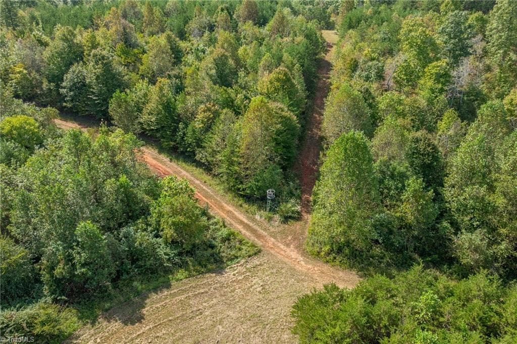 Unimproved Land at 0 Wright Road, Westfield NC 27053, Westfield, photo 17 of 48