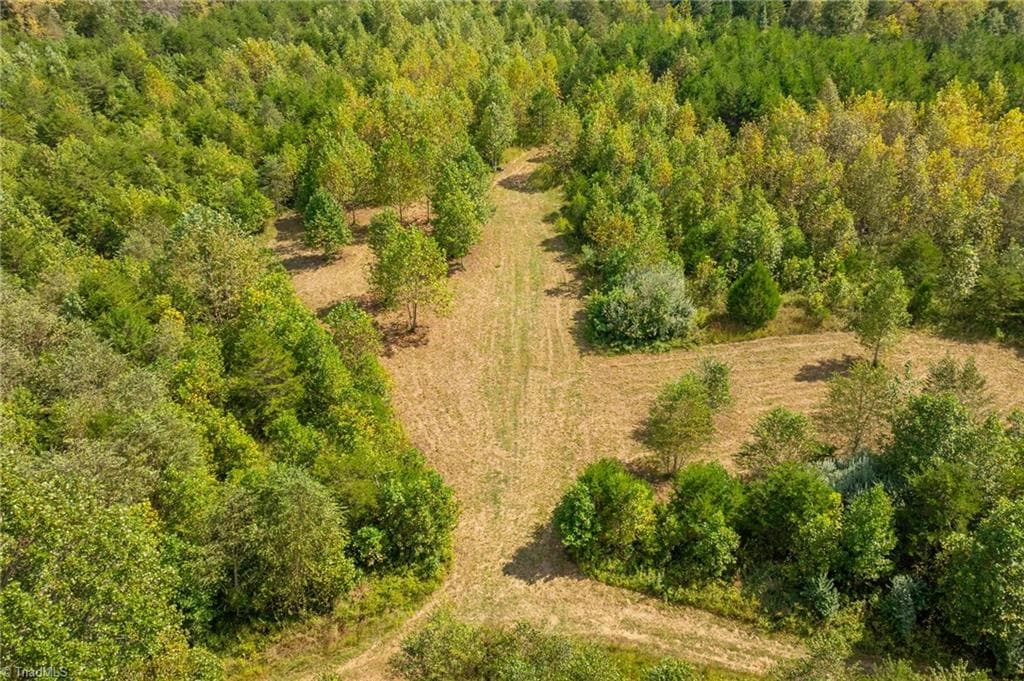 Unimproved Land at 0 Wright Road, Westfield NC 27053, Westfield, photo 19 of 48
