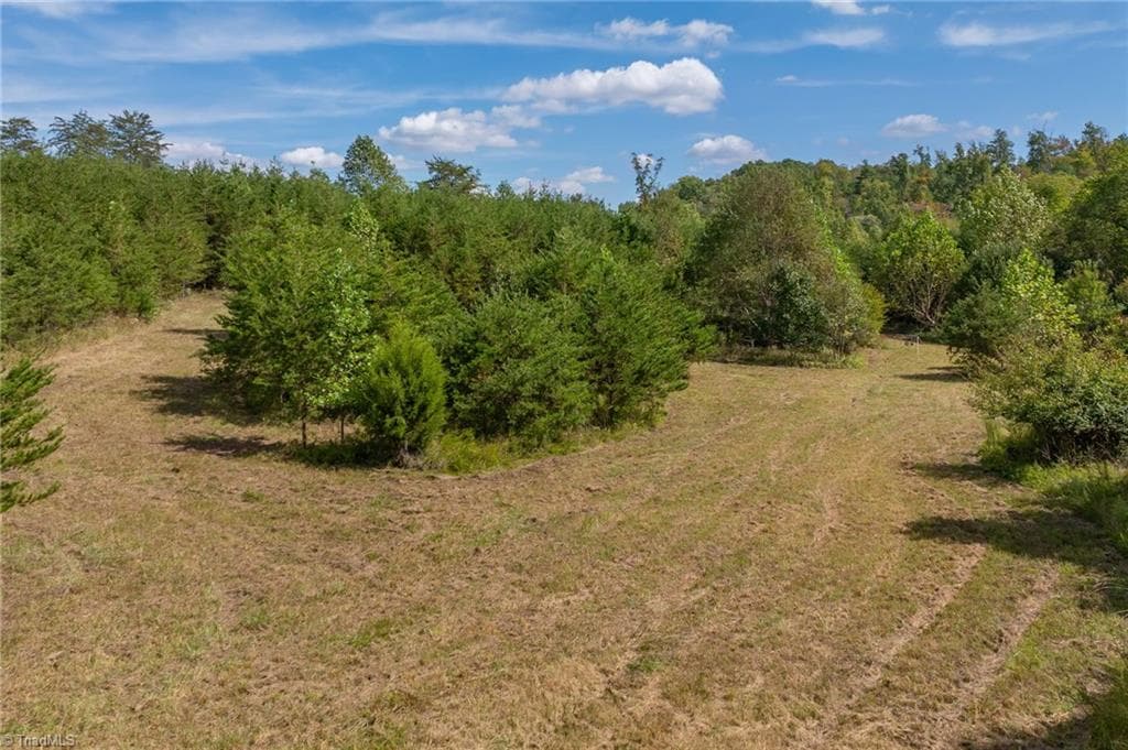 Unimproved Land at 0 Wright Road, Westfield NC 27053, Westfield, photo 27 of 48