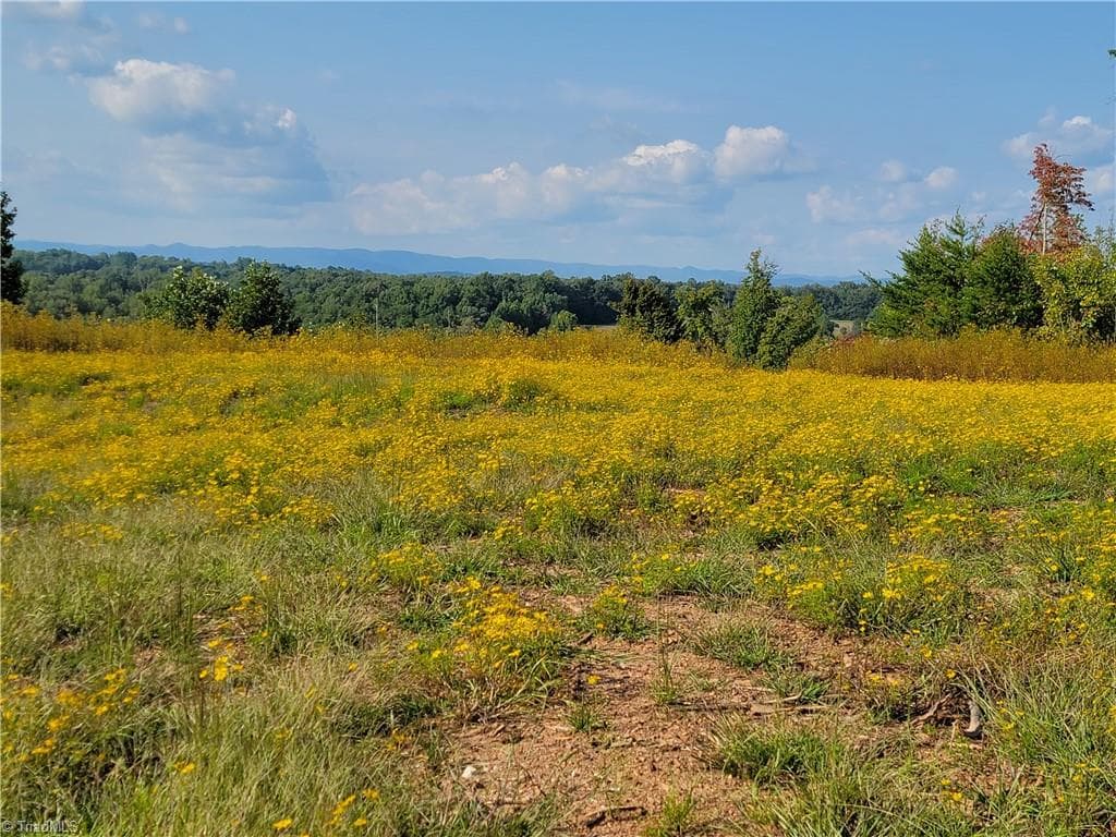 Unimproved Land at 0 Wright Road, Westfield NC 27053, Westfield, photo 29 of 48