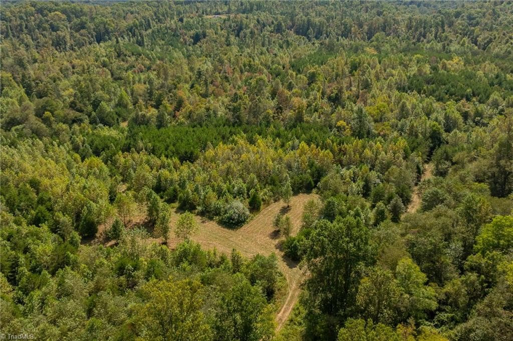 Unimproved Land at 0 Wright Road, Westfield NC 27053, Westfield, photo 21 of 48