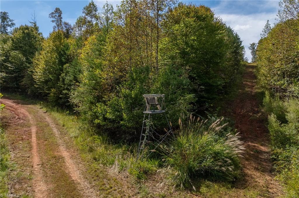 Prime hunting land, secluded acreage with abundant wildlife including deer, turkey and black bear. - 0 Wright Road, Westfield NC 27053, Westfield
