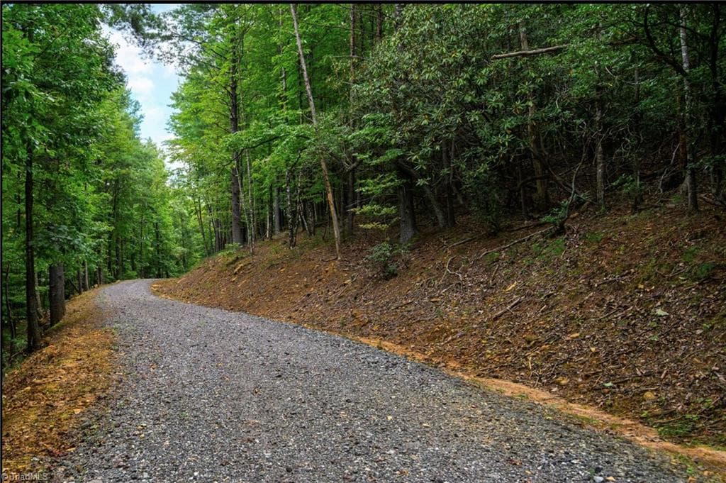 Single Family Residence at 0000 Chestnut Grove Road, Millers Creek NC 28651, photo 22 of 50