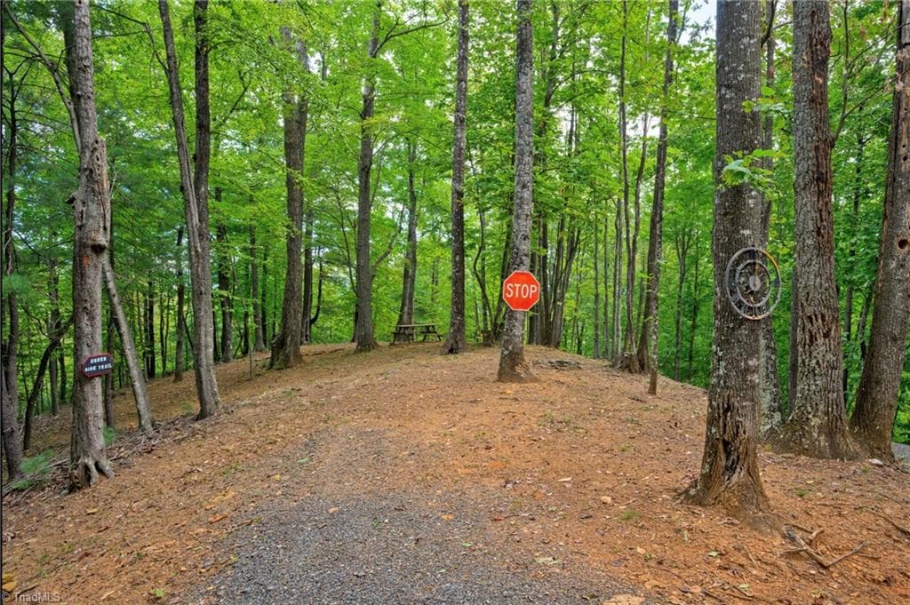 Single Family Residence at 0000 Chestnut Grove Road, Millers Creek NC 28651, photo 19 of 50