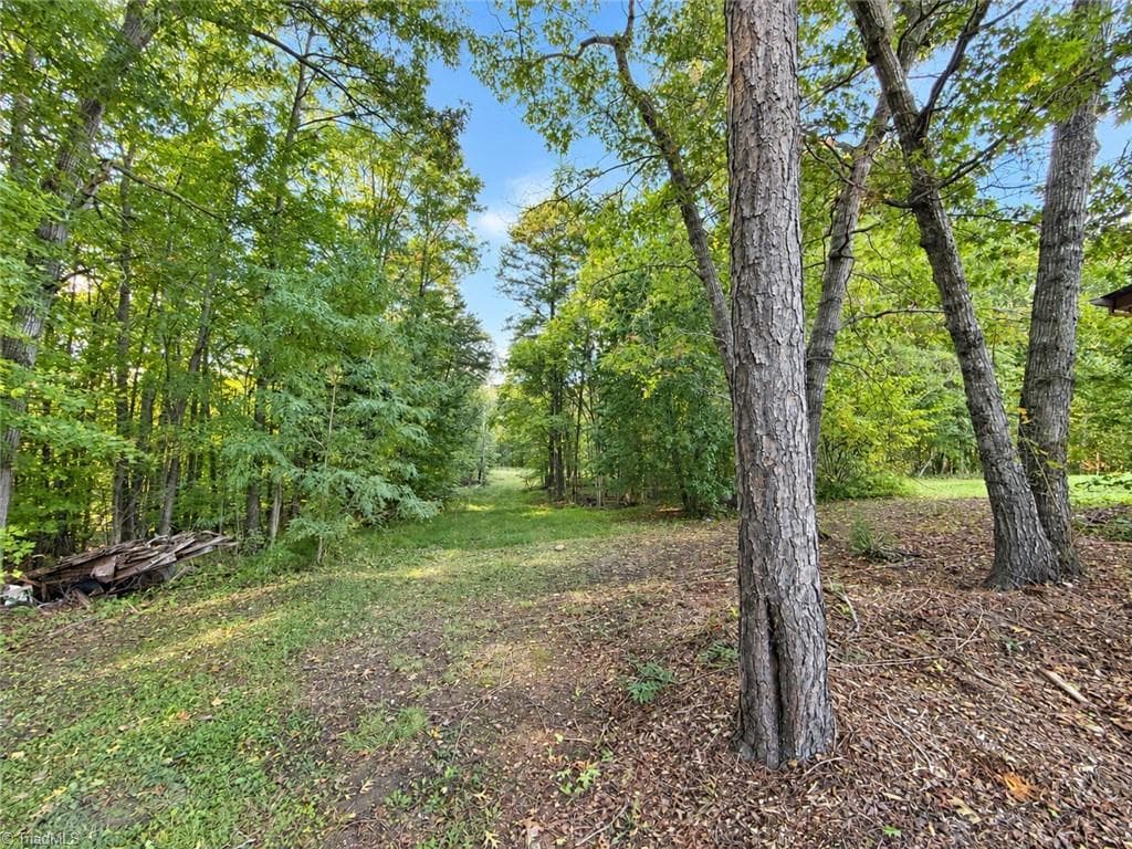 Stick/Site Built at 158 Border Lane, Pinnacle NC 27043, photo 5 of 24
