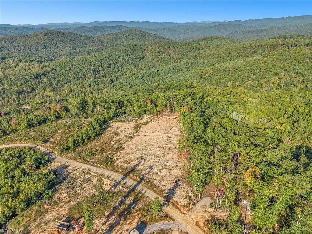 Single Family Residence at Tract 99 Widow Mountain Drive, McGrady NC 28649, photo 6 of 30