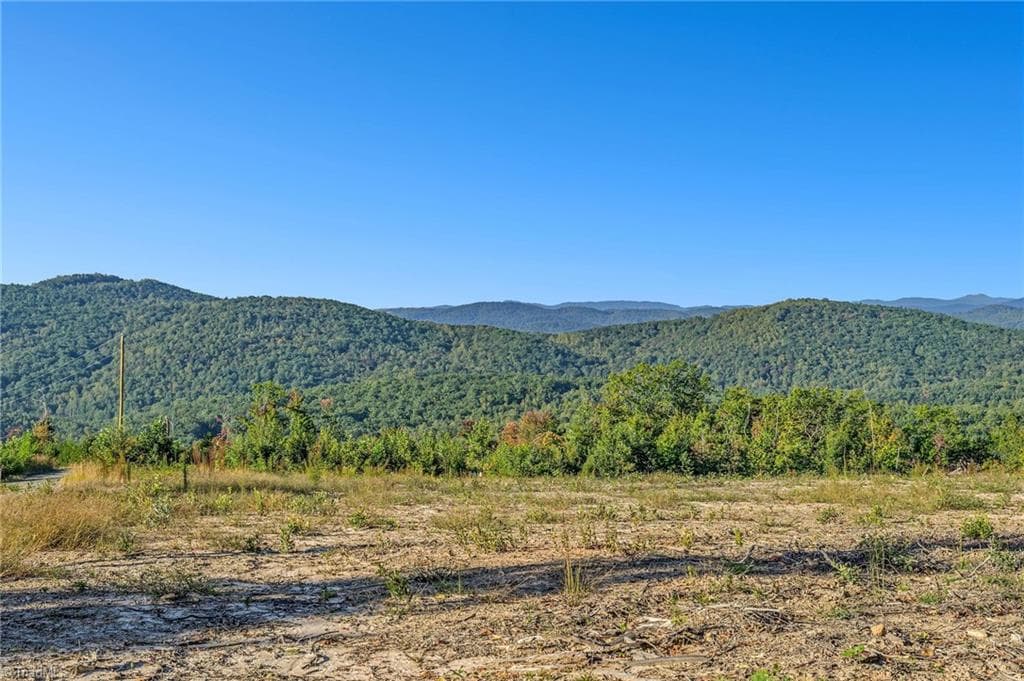 Tract 99 Widow Mountain Drive, McGrady NC 28649