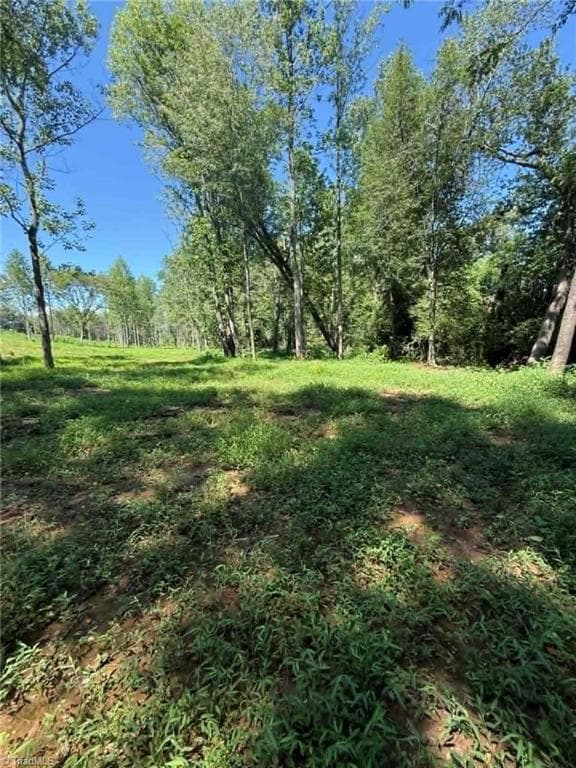 Unimproved Land at 2625 Sprouse Road, Boonville NC 27011, photo 6 of 26