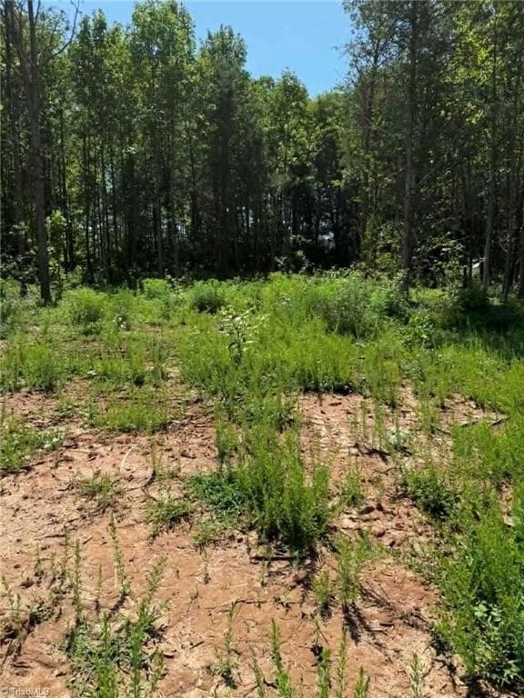 Unimproved Land at 2625 Sprouse Road, Boonville NC 27011, photo 13 of 26