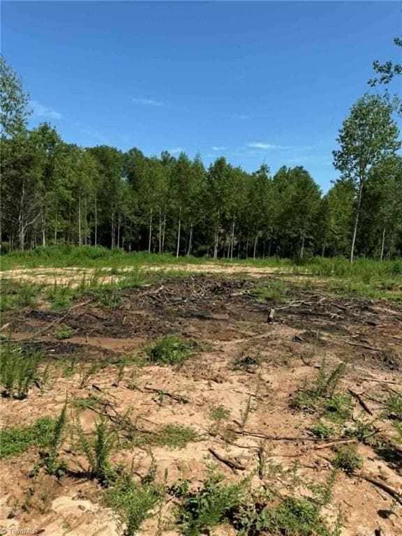 Unimproved Land at 2625 Sprouse Road, Boonville NC 27011, photo 17 of 26