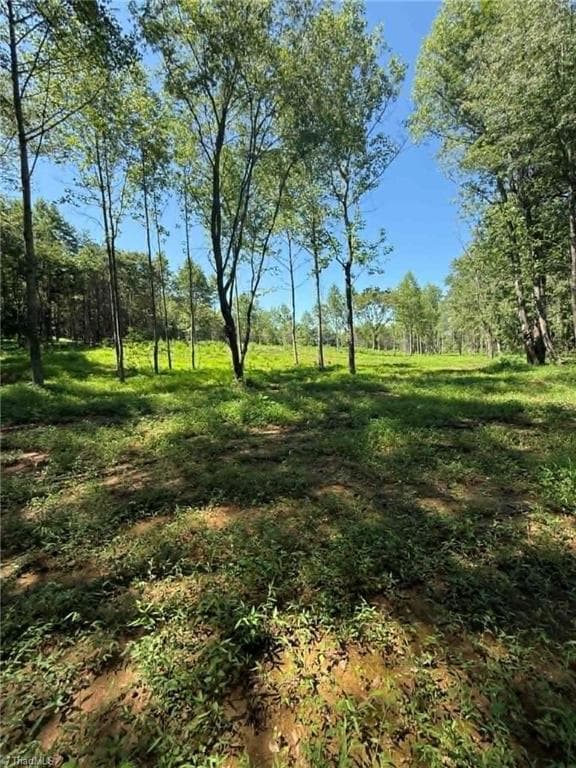 Unimproved Land at 2625 Sprouse Road, Boonville NC 27011, photo 7 of 26