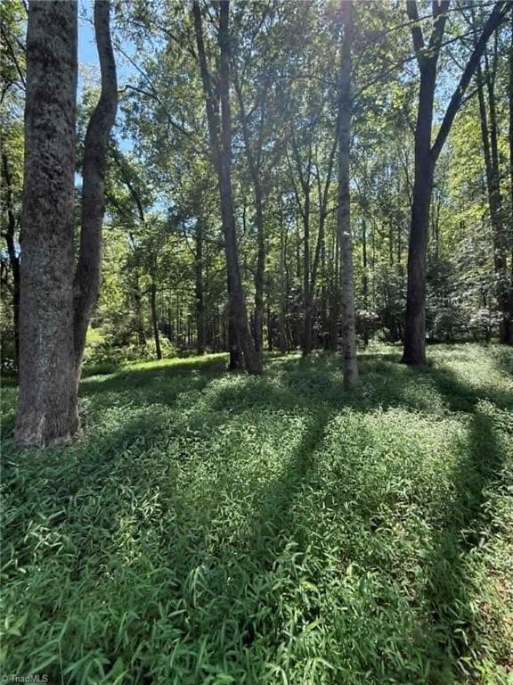 Unimproved Land at 2625 Sprouse Road, Boonville NC 27011, photo 10 of 26