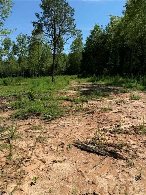 Unimproved Land at 2625 Sprouse Road, Boonville NC 27011, photo 14 of 26