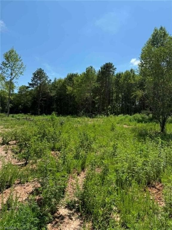 Unimproved Land at 2625 Sprouse Road, Boonville NC 27011, photo 15 of 26