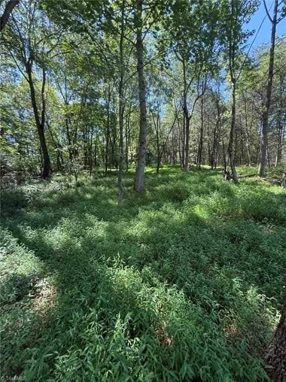 Unimproved Land at 2625 Sprouse Road, Boonville NC 27011, photo 11 of 26