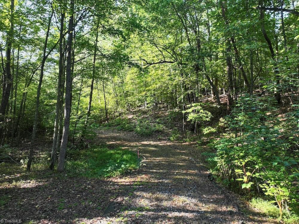 Unimproved Land at 7809 Thomas Road, Stokesdale NC 27357, photo 13 of 30