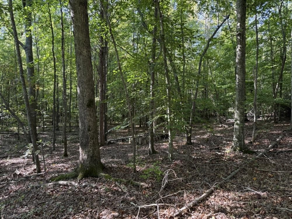 Unimproved Land at 7809 Thomas Road, Stokesdale NC 27357, photo 17 of 30