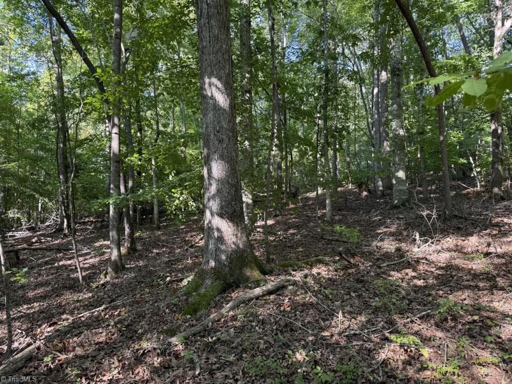 Unimproved Land at 7809 Thomas Road, Stokesdale NC 27357, photo 16 of 30