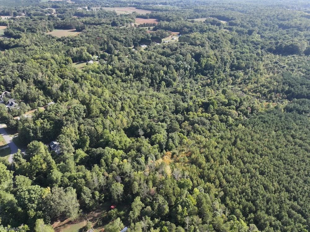 Unimproved Land at 7809 Thomas Road, Stokesdale NC 27357, photo 12 of 30