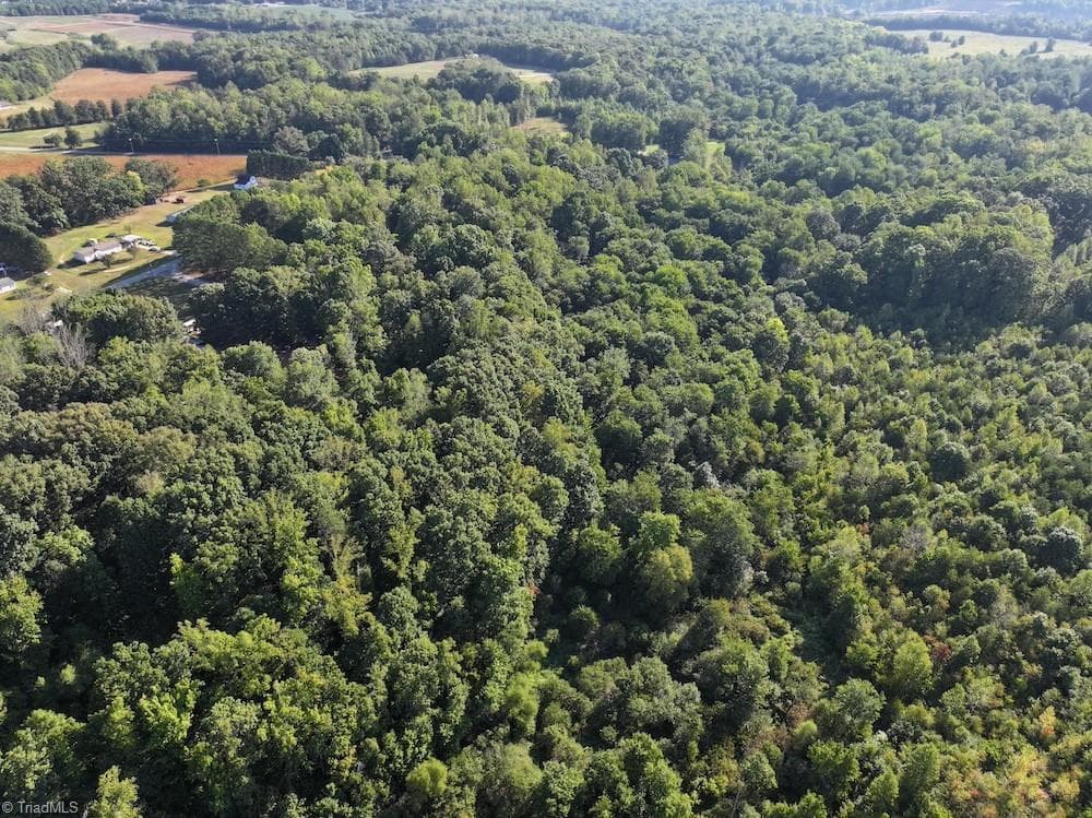 Unimproved Land at 7809 Thomas Road, Stokesdale NC 27357, photo 10 of 30