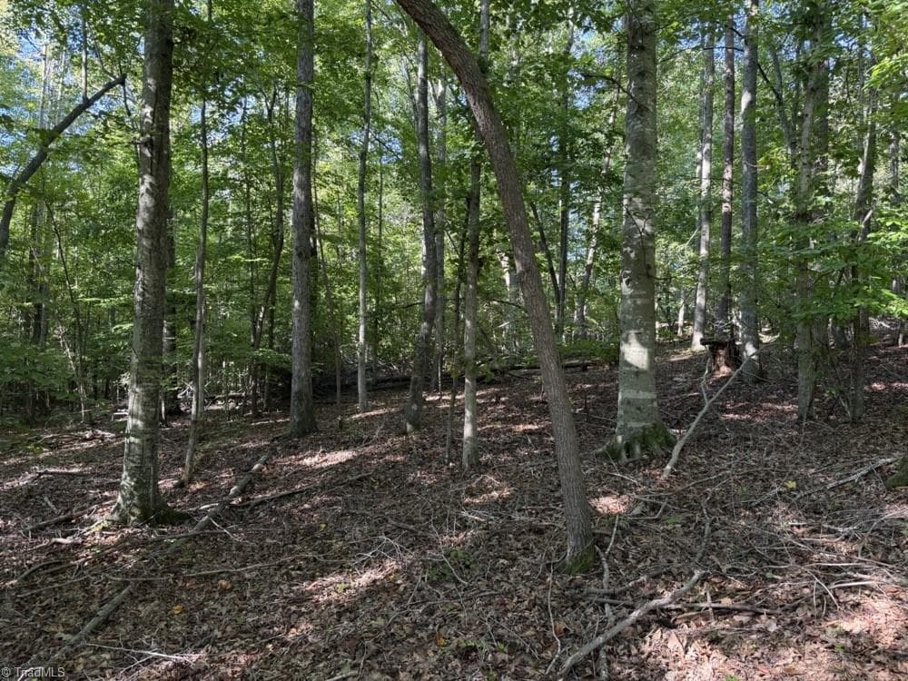 Unimproved Land at 7809 Thomas Road, Stokesdale NC 27357, photo 18 of 30