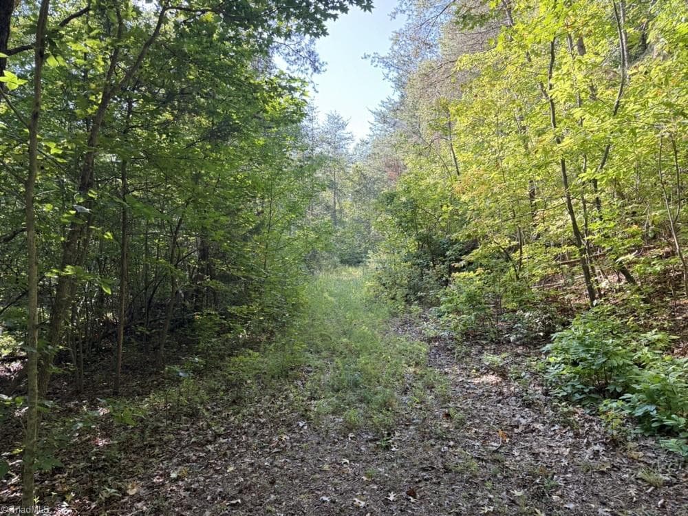 Unimproved Land at 7809 Thomas Road, Stokesdale NC 27357, photo 15 of 30