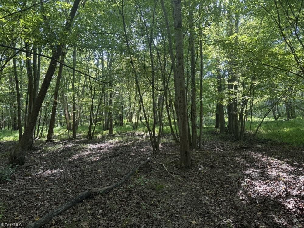 Unimproved Land at 7809 Thomas Road, Stokesdale NC 27357, photo 19 of 30