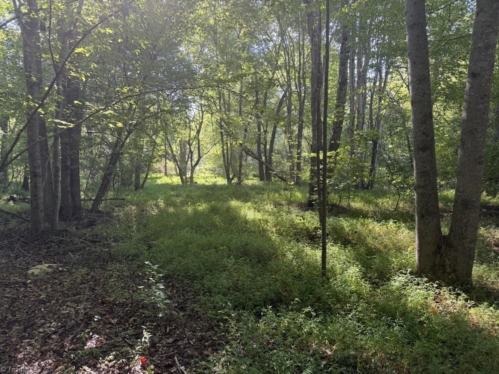 Unimproved Land at 7809 Thomas Road, Stokesdale NC 27357, photo 21 of 30