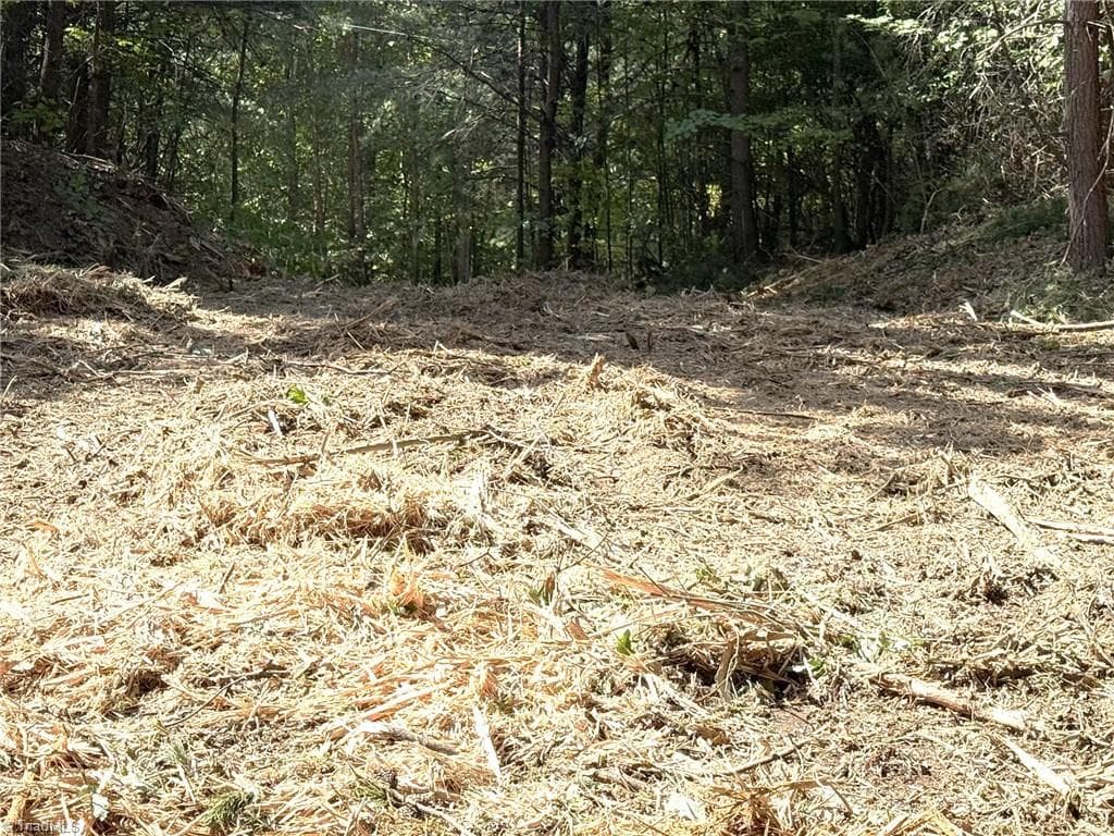 TBD Ridge Run Road, Boomer NC 28606