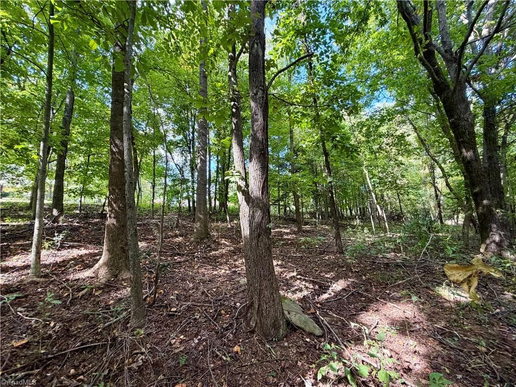 Single Family Residence at TBD Antigua Drive, Moravian Falls NC 28654, Moravian Falls, photo 11 of 30