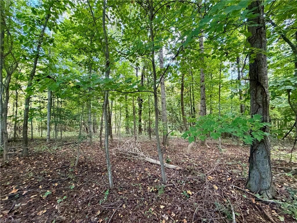 Single Family Residence at TBD Antigua Drive, Moravian Falls NC 28654, Moravian Falls, photo 7 of 30