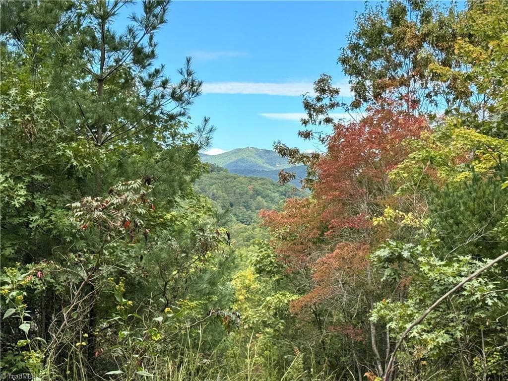 01 Cane Creek Church Road, McGrady NC 28649