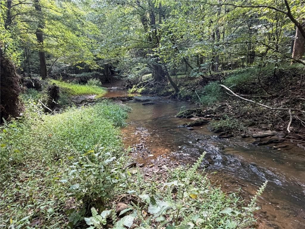 Unimproved Land at 000 Friendly Grove Church Road, Millers Creek NC 28651, Millers Creek, photo 45 of 84
