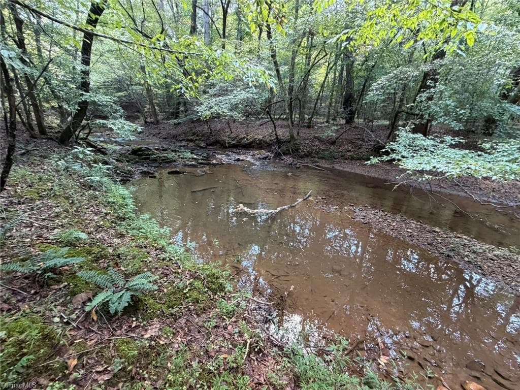 Unimproved Land at 000 Friendly Grove Church Road, Millers Creek NC 28651, Millers Creek, photo 53 of 84