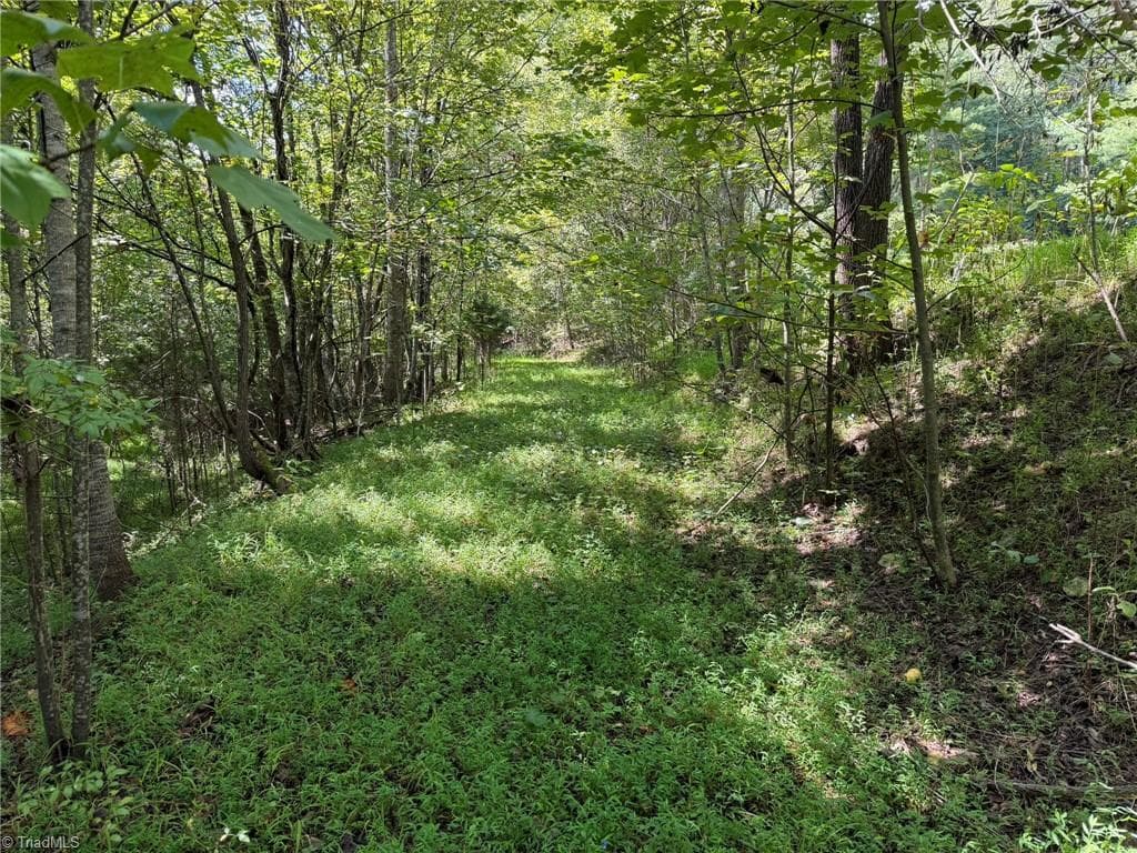 Unimproved Land at 000 Friendly Grove Church Road, Millers Creek NC 28651, Millers Creek, photo 11 of 84