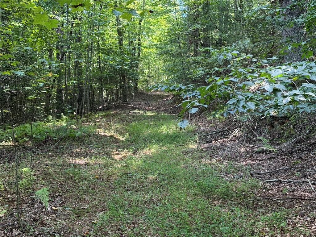 Unimproved Land at 000 Friendly Grove Church Road, Millers Creek NC 28651, Millers Creek, photo 25 of 84