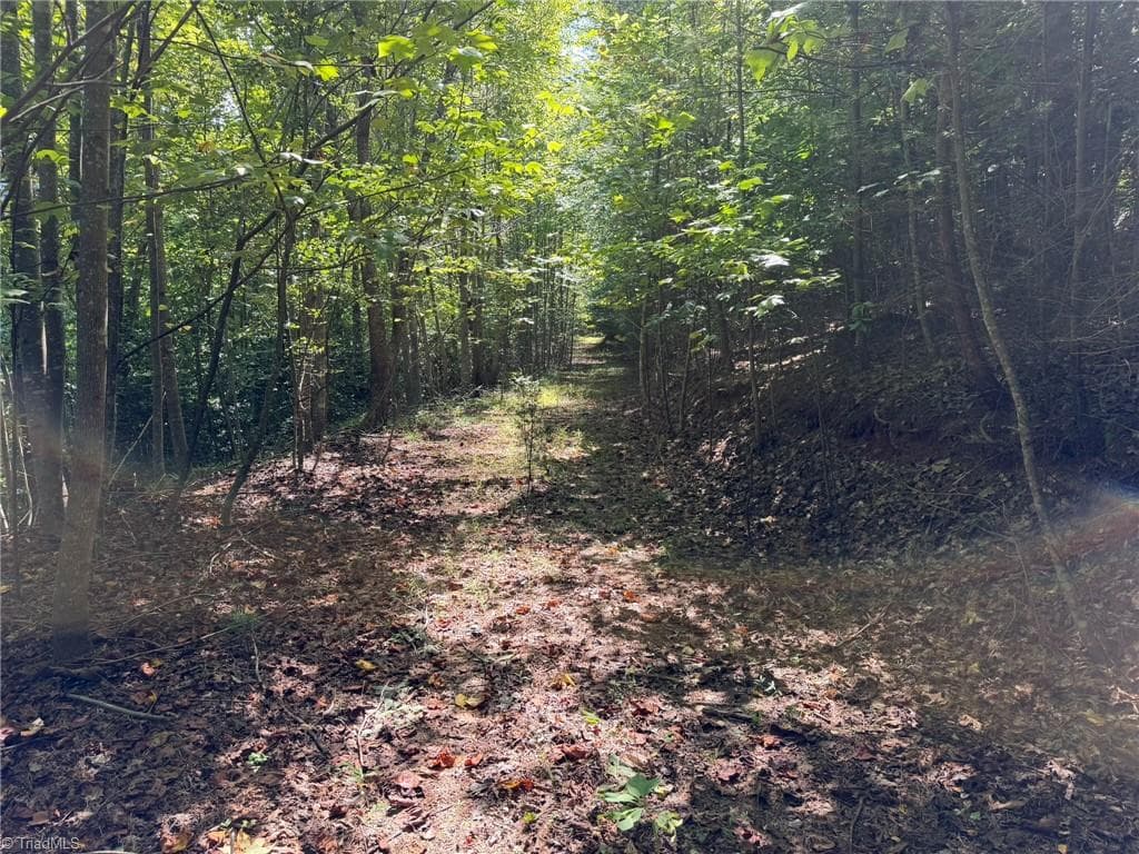 Unimproved Land at 000 Friendly Grove Church Road, Millers Creek NC 28651, Millers Creek, photo 31 of 84