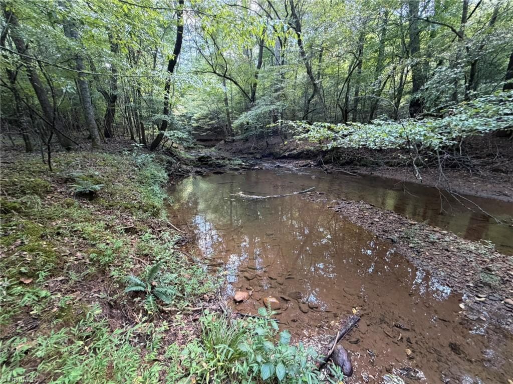 Unimproved Land at 000 Friendly Grove Church Road, Millers Creek NC 28651, Millers Creek, photo 51 of 84